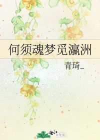 瀛洲梦奇遇攻略，瀛洲梦奇遇