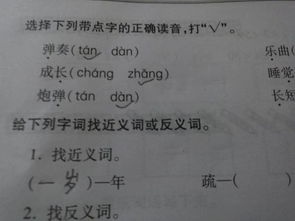 与实践意思相近的词有哪些