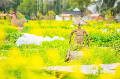 春天是怎样来的用一段话写出来