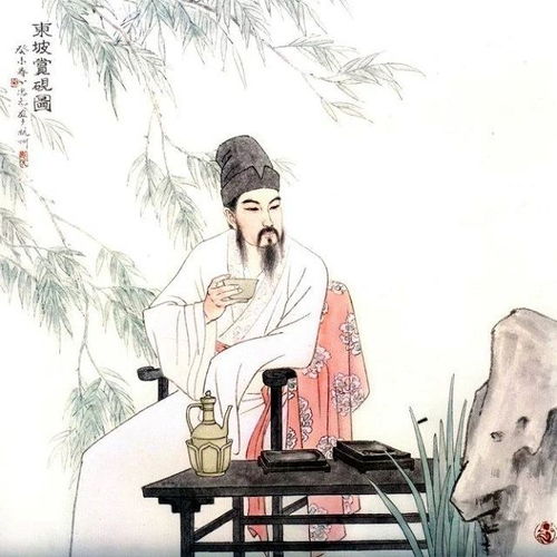 洗儿诗原文及解释