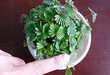 绍兴未来几天天气预报