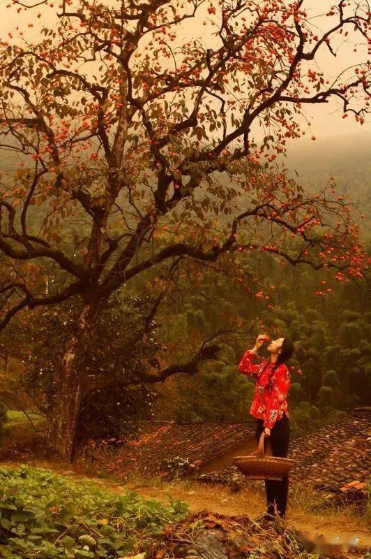 秋天的风什么什么冬天的雪什么什么，秋天的风一阵阵的吹过是什么歌