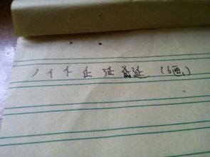 延笔顺笔画，廷笔顺