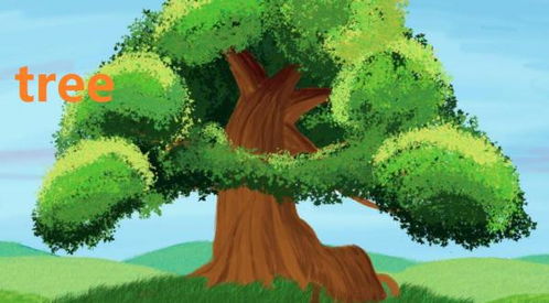 trees什么意思