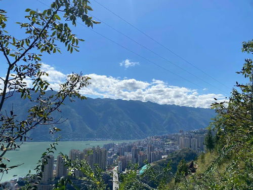 重庆巫山县重庆巫山县天气预报15天准确