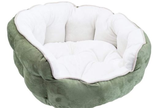 柔软的什么填空词语，柔软的石墨和坚硬无比的金刚石都是由什么元素构成的