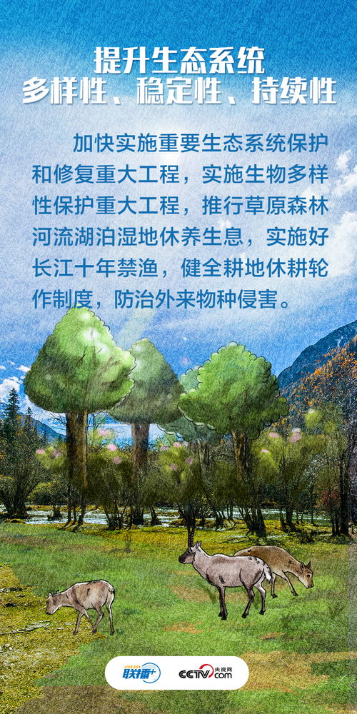 为什么要尊重自然?