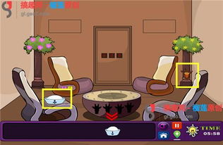 逃跑英文词组，让兔子逃跑英文