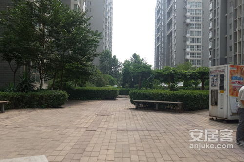 尚东绿洲属于哪个小学