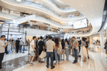 igc是什么意思，igcse课程是什么意思