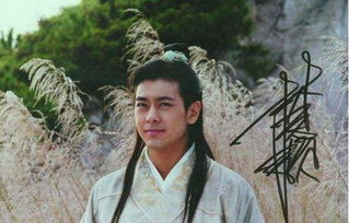 在《天龙八部》中,段誉的武功是什么段位?