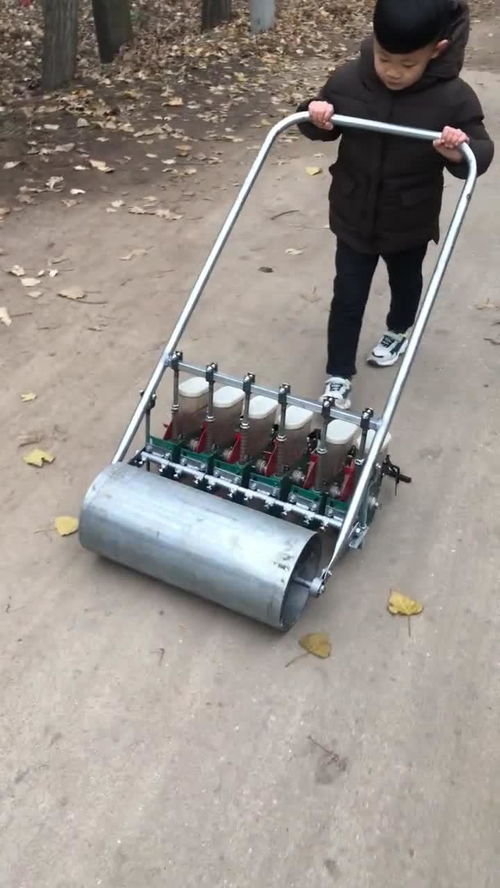 灵便的意思，灵便读音