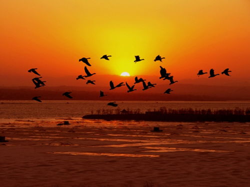 鹧鸪天·西都作译文 | 注释 | 赏析