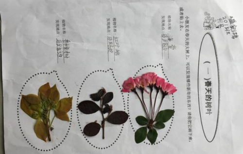 我们触到了春天的什么?。