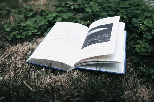 七的英文怎么读