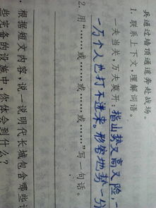 用或什么或造句