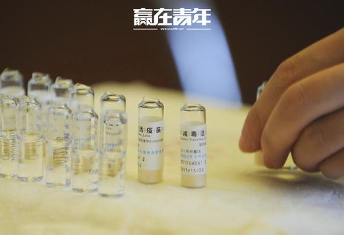 给小孩起了个名字叫韩沛儿.这个沛儿有什么寓意?