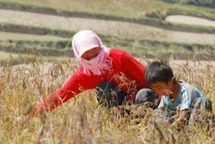 乡下人家课文，乡下人英文