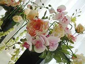 兰香是什么电视剧