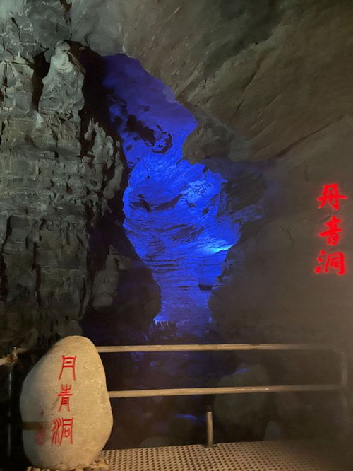 洞主是哪里毕业的