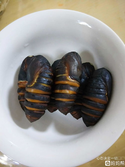 茧蛹子的做法