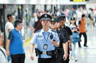 巡查是什么意思?