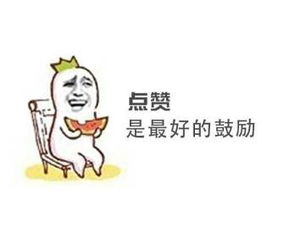 这个兔子的表情包叫什么名字啊