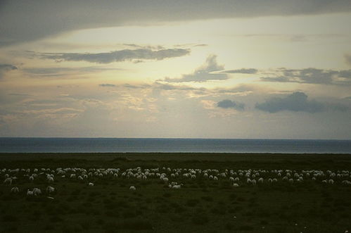 行迹定位app下载，行迹定位