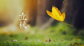 秋风引原文|翻译|赏析_原文作者简介
