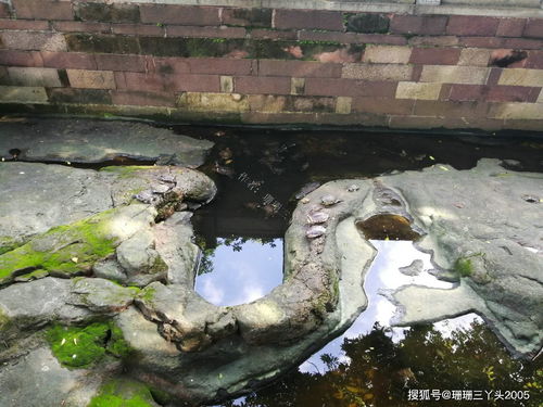 五羊衔谷的传说