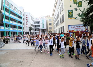 庐江县城关小学会搬走吗