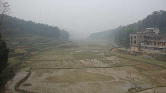 马坪驾校，马坪到柳州班车时刻表