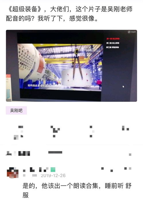 媲美是啥意思
