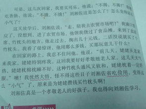 小学生有关乐于助人的作文【六篇】