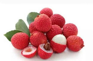 "荔枝"这个词的拼音是怎么拼的?