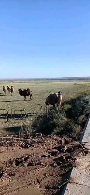求一首歌曲的名字