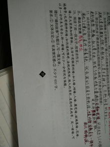 以墙为话题的作文