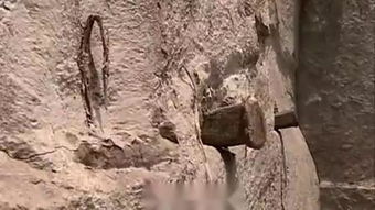 石工人怎么念，石工是什么专业