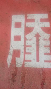 跪的拼音和组词?