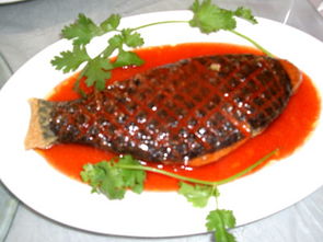 素鱼是种什么鱼