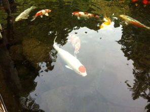 迤逦的意思和拼音，壮观迤逦的意思