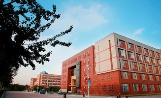 邢台学院专科有什么专业(具体的)