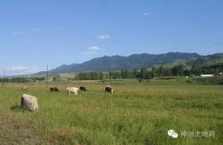 土地自留地所有权归属，自留山土地所有权
