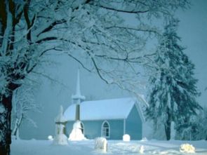 《雪地里的小画家》教案