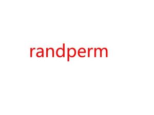 美国的perm是什么意思啊