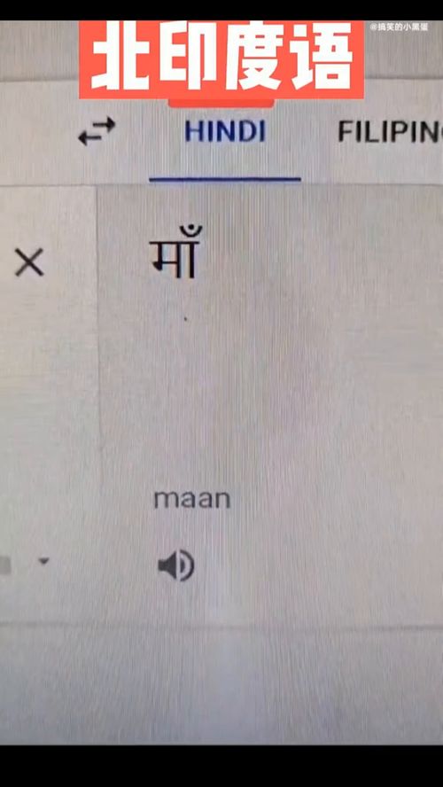 精髓拼音