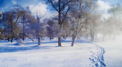 吞噬是什么意思，朔风凛冽是什么意思