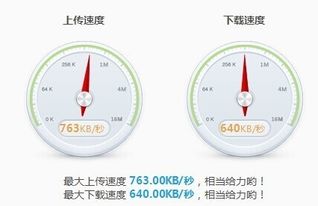 网络ms是什么意思
