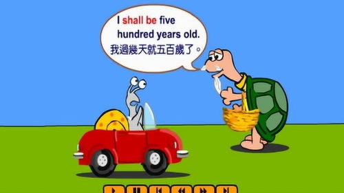 小学一般将来时教案，一般将来时教案初中英文