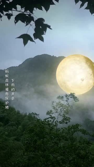 大自然中有什么声音?